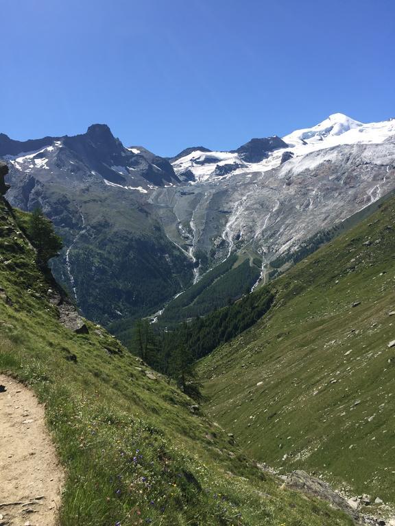 Chalet Alpentraum, Alte Gasse 20 Saas-Grund Eksteriør billede