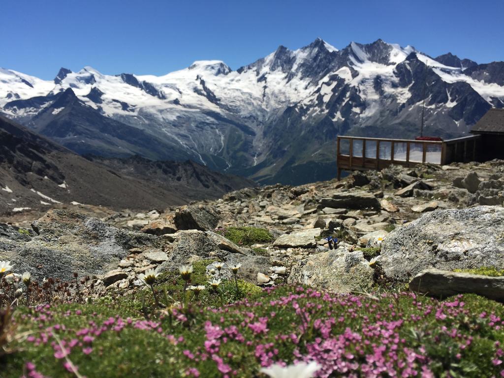 Chalet Alpentraum, Alte Gasse 20 Saas-Grund Eksteriør billede